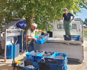 C'est quoi les vendanges