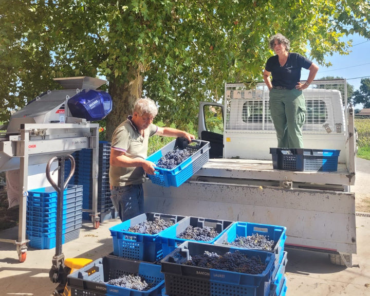 C'est quoi les vendanges