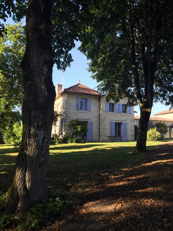 Château et dépendance au cœur d'un vignoble