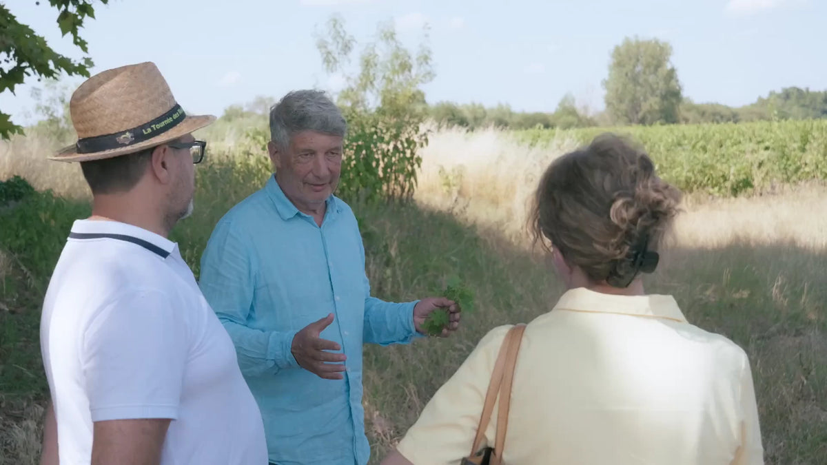 Visite du domaine et dégustation